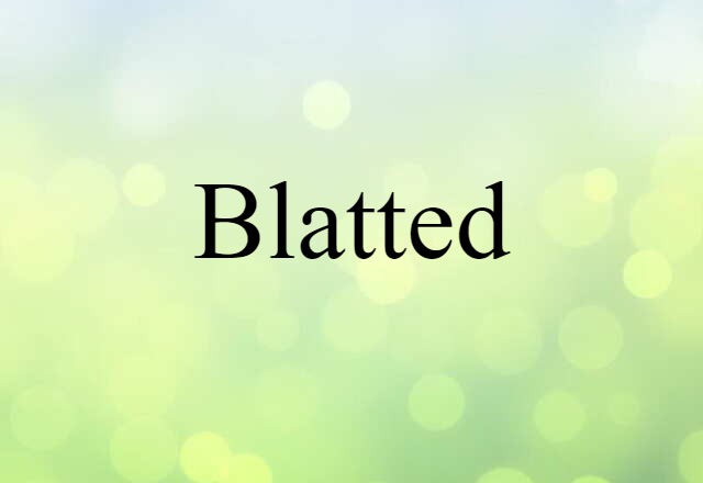 Blatted (noun) Definition, Meaning & Examples