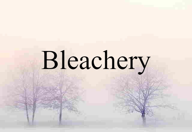 Bleachery (noun) Definition, Meaning & Examples