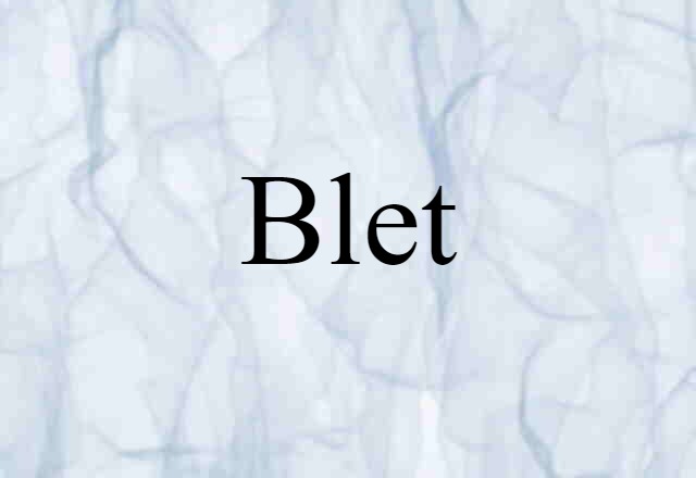 Blet (noun) Definition, Meaning & Examples