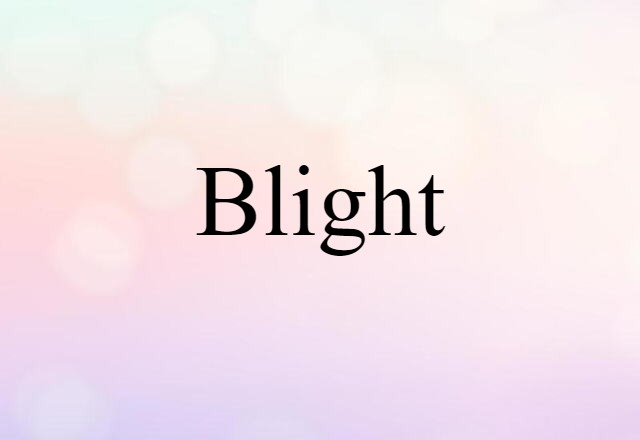 blight