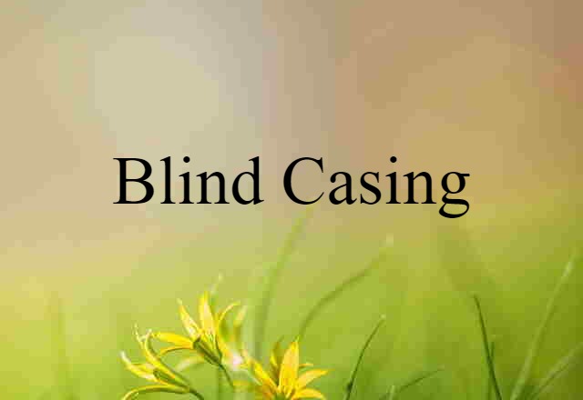 Blind Casing (noun) Definition, Meaning & Examples