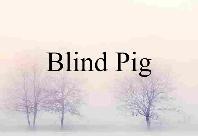 Blind Pig (noun) Definition, Meaning & Examples