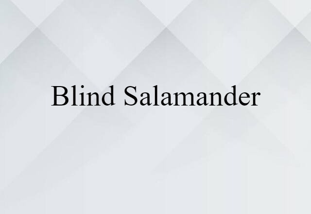 Blind Salamander (noun) Definition, Meaning & Examples