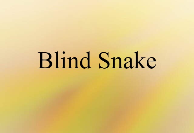 Blind Snake (noun) Definition, Meaning & Examples