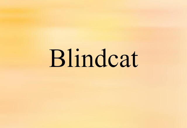 Blindcat (noun) Definition, Meaning & Examples