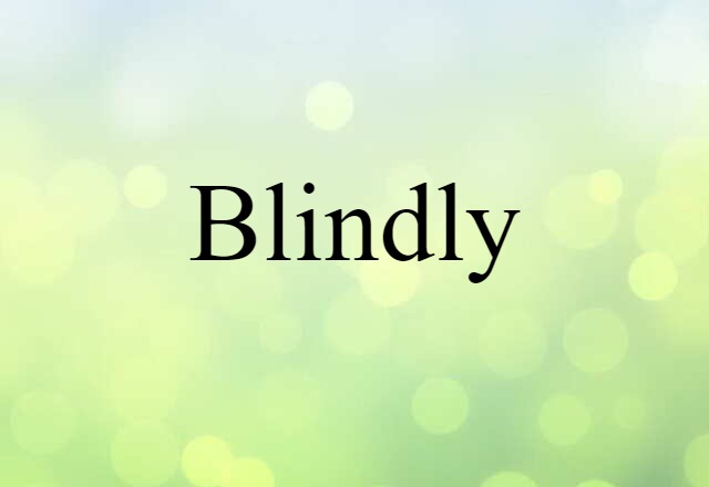 Blindly (noun) Definition, Meaning & Examples