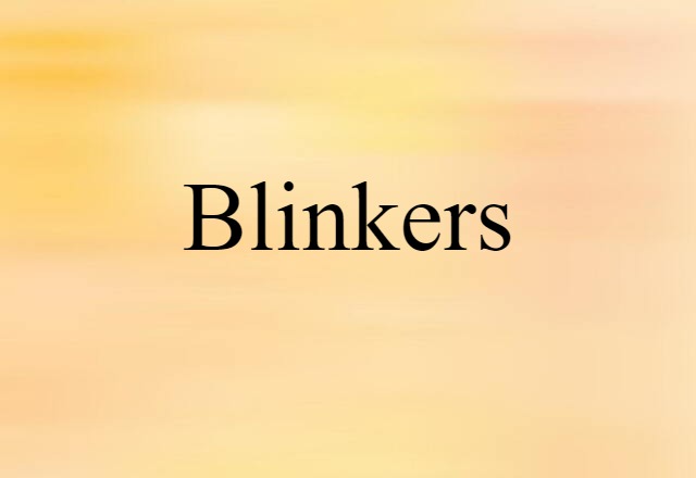 Blinkers (noun) Definition, Meaning & Examples