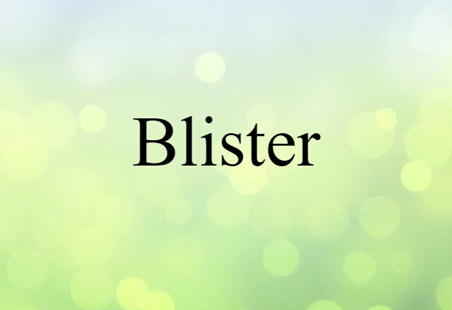 Blister (noun) Definition, Meaning & Examples