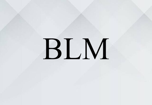 BLM (noun) Definition, Meaning & Examples