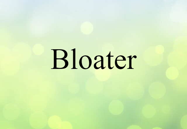 Bloater (noun) Definition, Meaning & Examples