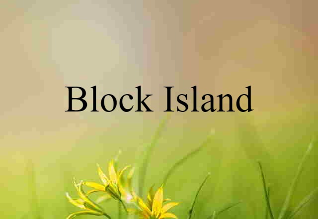 Block Island (noun) Definition, Meaning & Examples