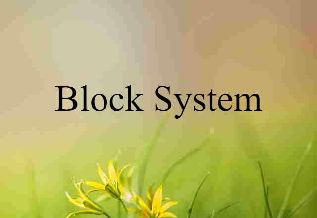 block system