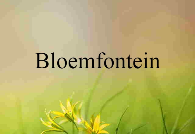 Bloemfontein (noun) Definition, Meaning & Examples