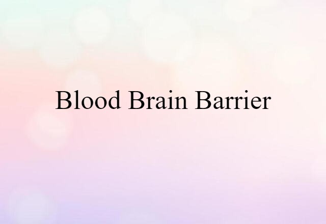 blood-brain barrier