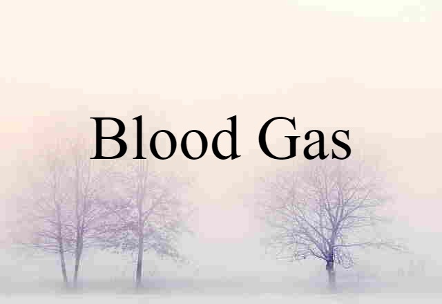 Blood Gas (noun) Definition, Meaning & Examples