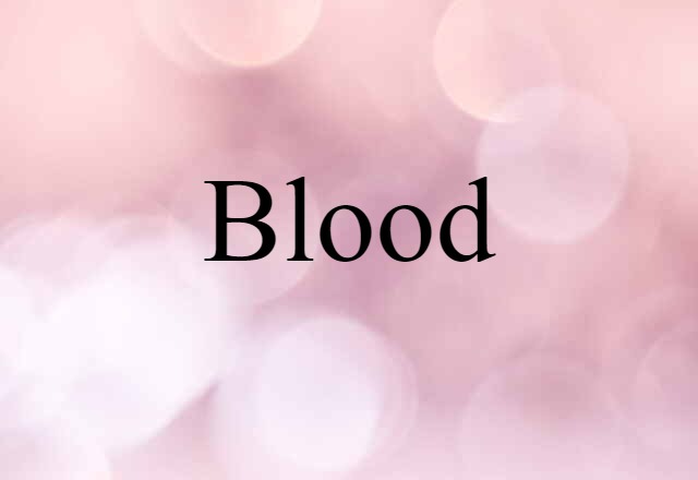 Blood (noun) Definition, Meaning & Examples