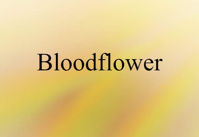 Bloodflower (noun) Definition, Meaning & Examples