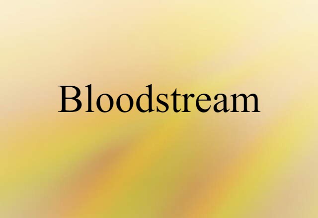 Bloodstream (noun) Definition, Meaning & Examples