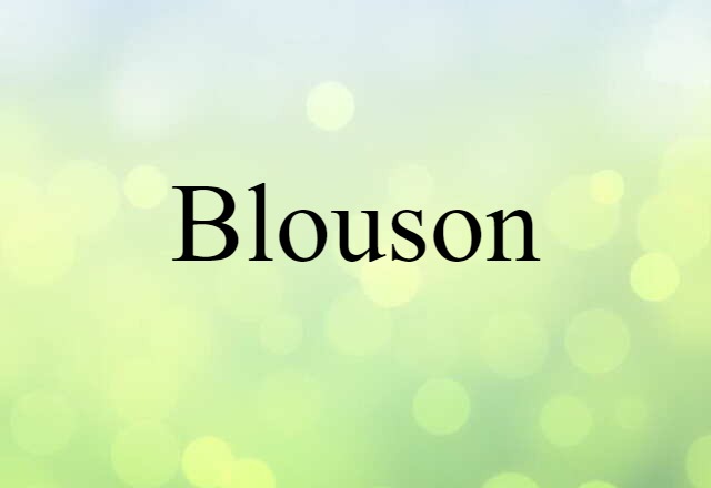 blouson