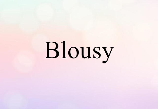 Blousy (noun) Definition, Meaning & Examples