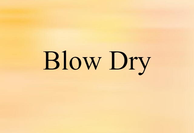 Blow Dry (noun) Definition, Meaning & Examples