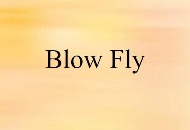 Blow Fly (noun) Definition, Meaning & Examples