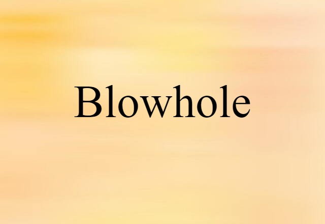 Blowhole (noun) Definition, Meaning & Examples