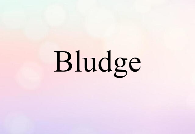 Bludge (noun) Definition, Meaning & Examples