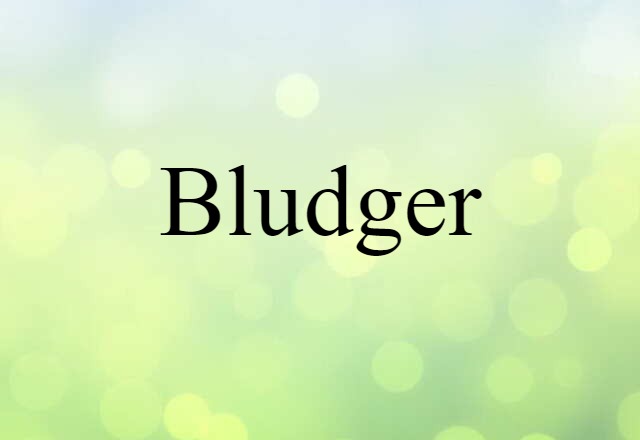 bludger