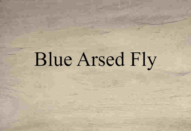 blue arsed fly