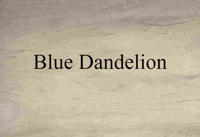 Blue Dandelion (noun) Definition, Meaning & Examples