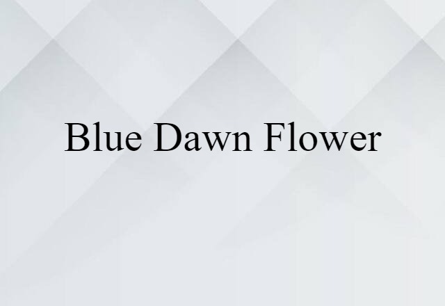 blue dawn flower