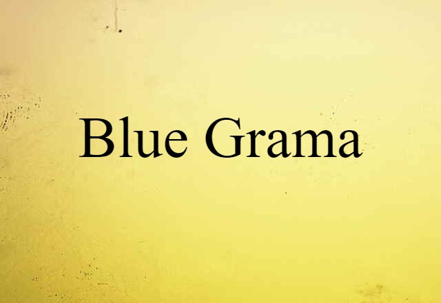 blue grama