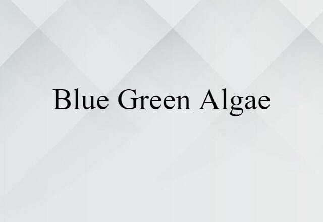 blue green algae