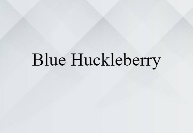 blue huckleberry