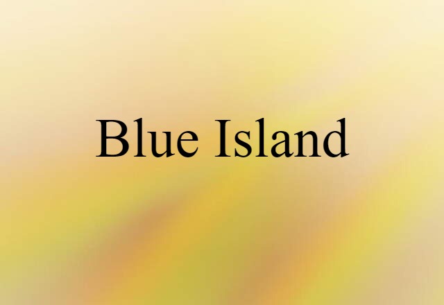 Blue Island (noun) Definition, Meaning & Examples