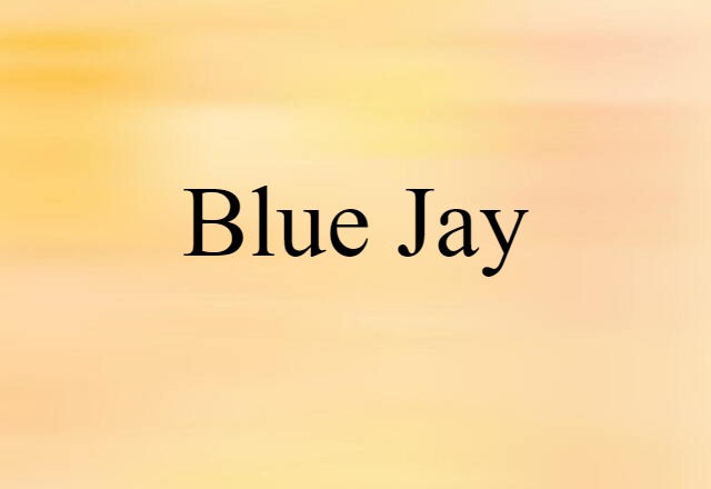 Blue Jay (noun) Definition, Meaning & Examples