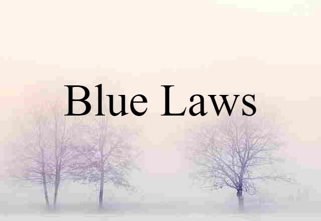 Blue Laws (noun) Definition, Meaning & Examples