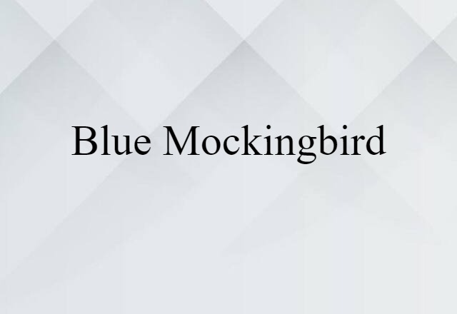 Blue Mockingbird (noun) Definition, Meaning & Examples