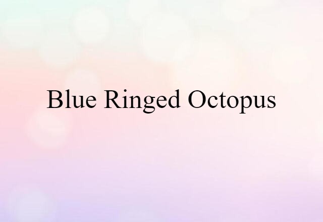 blue ringed octopus