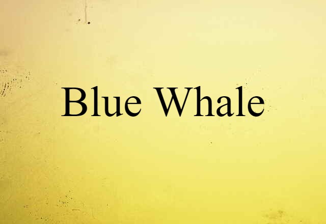 blue whale