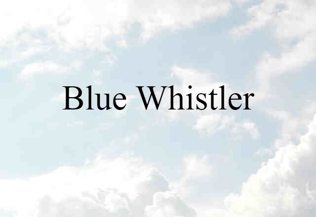 blue whistler