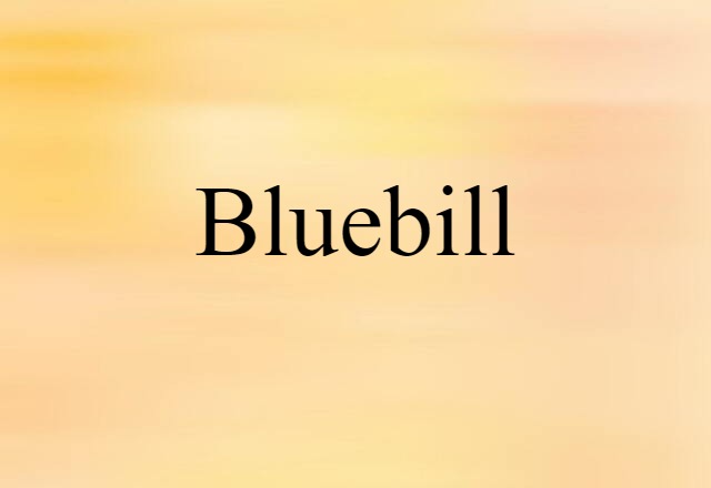 Bluebill (noun) Definition, Meaning & Examples