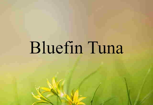 Bluefin Tuna (noun) Definition, Meaning & Examples