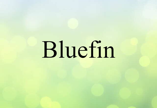 bluefin