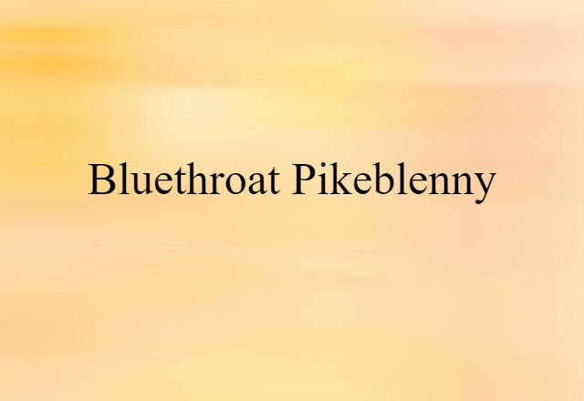 Bluethroat Pikeblenny (noun) Definition, Meaning & Examples