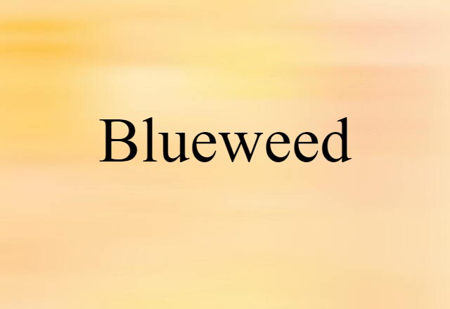 Blueweed (noun) Definition, Meaning & Examples