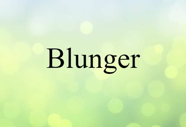 Blunger (noun) Definition, Meaning & Examples