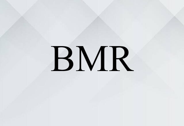 BMR (noun) Definition, Meaning & Examples