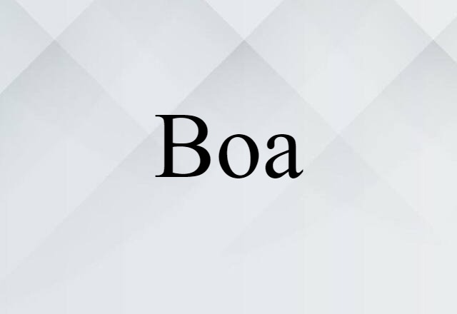 Boa (noun) Definition, Meaning & Examples